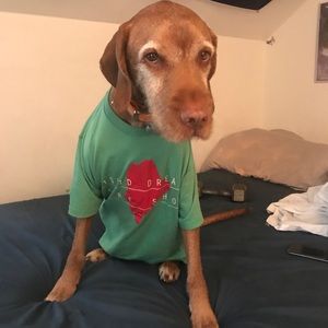 Meet your Posher, Paula